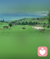 看人，不能只看他开心的时候对你有多好。
更要看他在困难中、在情绪失控时，会做出什么事。
那是一个人的下限。