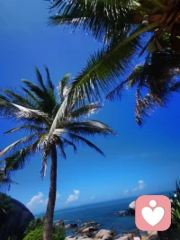 每个努力生活的人，都值得被温柔以待！配图