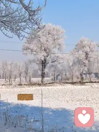 累了就歇一歇，烦了就出去走一走，不必强迫自己时刻紧绷！配图