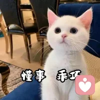 人们常常把“懂事”当成优点，却忘了“懂事”的人最容易委屈自己！