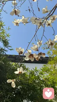 像植物一样，向着光，安静生长。配图