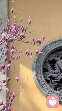 春暖花开，好事自然来！配图