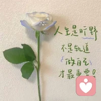 人生是旷野，不是轨道，做自己，才最重要！！