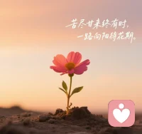 苦尽甘来终有时，一路向阳待花期！