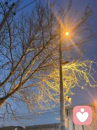 夜深了，我是你的倾听者知音姐姐，有什么话不要憋在心里了，说出来，我是你的听众，也是你的知己。