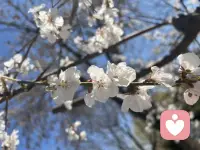 每个妈妈都希望自己的孩子将来能出人头地，自己走过的弯路孩子能少走一点，咋就那么难呢。