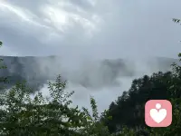 接纳自己的不完美，才是完美的开始。与自己和解，是终身浪漫的起点。配图