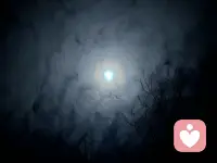 你不必总是发光，偶尔暗淡也是真实的模样。
完整的人生，本就明暗交错。配图