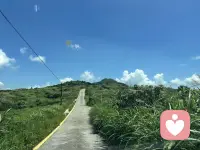 焦虑是对未来的透支，抑郁是对过去的执着。
唯有此刻的呼吸，属于真正的你。配图