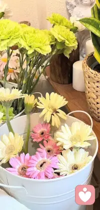 人并不是被事物困扰，而是被自己对事物的看法困扰。