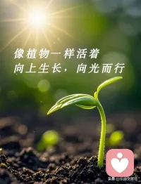 前路纵有风雨坎坷，也别停下前行脚步，脚踏实地走好每一步，时间终会回馈所有坚持与付出。配图