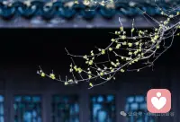 婚姻家庭中，付出的一方，却经常被质疑，因为太多的忍耐和包容。配图