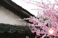 学习笔记，亲密关系是理论基础

1. 亲密关系的心理学定义：超越泛泛之交

在心理学领域，我们如何区分普通的熟人关系与真正的“亲密关系”？这并非仅凭主观感觉，而是有着严谨的界定标准。根据 Miller 和 Perlman (2009) 的经典定义，亲密关系（Intimate Relationships）是指两个个体之间产生的一种包含频繁互动、强烈情感联系以及长期相互依赖的状态。

为了更清晰地理解这一概念，我们可以将亲密关系拆解为六个核心特征，这六个特征构成了亲密关系的“六维模型”：

了解程度（Knowledge）： 伴侣之间拥有广泛而私密的个人信息，包括彼此的历史、情感偏好、恐惧与渴望。这种了解是排他性的。
关心（Caring）： 双方感受到彼此的关爱，这种情感不仅是喜爱，更包含对对方幸福的责任感。
相互依赖性（Interdependence）： 这是亲密关系最显著的特征。一方的行为会显著、频繁且广泛地影响另一方。这种影响是双向的，就像两个咬合的齿轮，一个转动，另一个必然随之改变。
相互一致性（Mutuality）： 双方在认知上将彼此视为一个整体，即从“我”和“你”转变为“我们”。这种“我们感”（We-ness）是关系深度的重要指标。
信任（Trust）： 相信伴侣会公正、友善地对待自己，确信对方不会故意造成伤害。
承诺（Commitment）： 投入时间、精力与资源，意图长期维持这段关系的心理状态。

教授点拨： 请注意，这六个特征并不一定同时达到最高值才算亲密关系。例如，一段充满激情但缺乏承诺的关系（如短期恋情），或者一段承诺深厚但缺乏激情的关系（如某些老夫老妻），都属于亲密关系的某种形态。作为咨询师，我们需要评估来访者的关系在这六个维度上的分布情况。配图