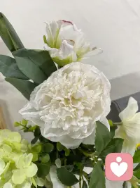 学习是高级本能