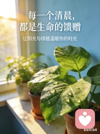 生活再忙，也别忽略心里的声音🌱
我在给力心理，做你专属倾听者。
倾听情绪、梳理心结、缓解压力、赋能成长。
每一种情绪都值得被尊重，每一个你都值得被好好对待。
把心事交给我，把轻松还给你。配图