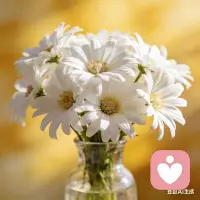 清晨的豆浆油条，深夜的灯下阅读，周末和朋友的插科打诨——这些看似重复的日常，是意义的底色。就像老茶客每天雷打不动的泡茶流程，注水、温杯、出汤，动作重复了几十年，却在茶香里品出了岁月的回甘。你不必追求惊世骇俗的传奇，把平凡的日子过出“今天的夕阳比昨天更温柔”的觉知，人生就有了专属的甜。配图