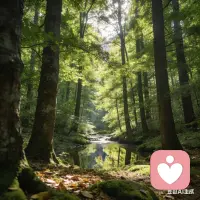 畅聊之火在等你配图