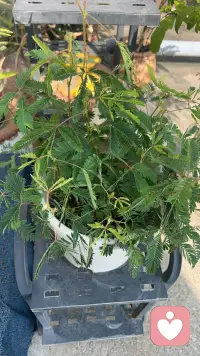 生活需要烟火，也需要静静的美好。用不着刻意合群，有趣的人会相互吸引。配图