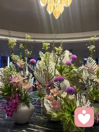 每个人心底本就具足的觉性🌿
如同埋在土里的种子，
有人早早发芽，有人静待唤醒。
