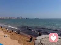 若教眼底无离恨  不信人间有白头。