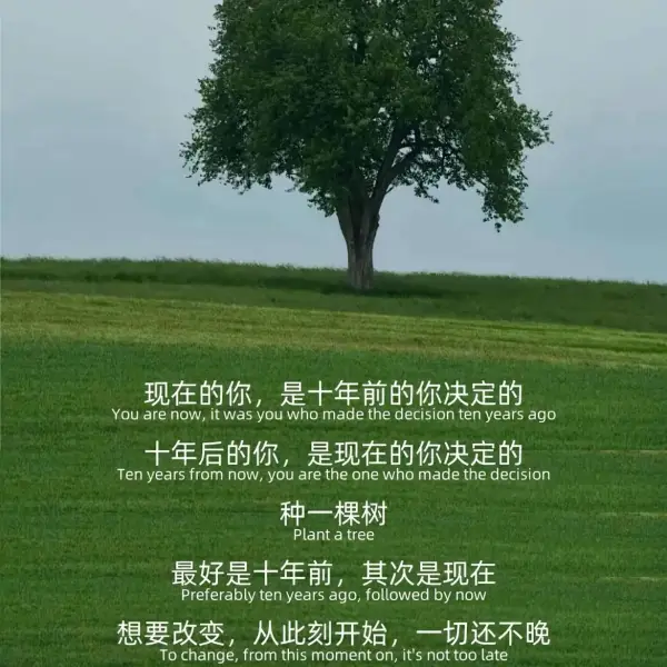 一周七喜【抑郁焦虑疏导】