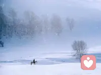 一个冬天总要下场雪——2026