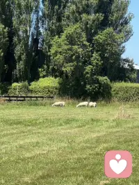 庄子曾说人生天地之间，若白驹之过隙，忽然而已，人生下半场，最要紧的不是取悦他人，而是富养自己，勤以养财，静以养心，动以养身，书以养气，一勤天下无难事，一静天下无烦事，无论身处何种境地，稳住心态，养得深根，来日才能枝繁叶茂