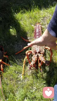 庄子曾说人生天地之间，若白驹之过隙，忽然而已，人生下半场，最要紧的不是取悦他人，而是富养自己，勤以养财，静以养心，动以养身，书以养气，一勤天下无难事，一静天下无烦事，无论身处何种境地，稳住心态，养得深根，来日才能枝繁叶茂