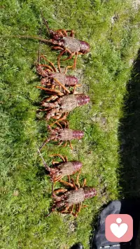 庄子曾说人生天地之间，若白驹之过隙，忽然而已，人生下半场，最要紧的不是取悦他人，而是富养自己，勤以养财，静以养心，动以养身，书以养气，一勤天下无难事，一静天下无烦事，无论身处何种境地，稳住心态，养得深根，来日才能枝繁叶茂