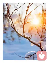 庄子曾说人生天地之间，若白驹之过隙，忽然而已，人生下半场，最要紧的不是取悦他人，而是富养自己，勤以养财，静以养心，动以养身，书以养气，一勤天下无难事，一静天下无烦事，无论身处何种境地，稳住心态，养得深根，来日才能枝繁叶茂