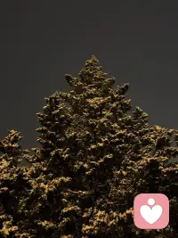 偶尔童真一下也挺好配图