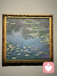 看了电影《从前的光景》，忍不住来看一眼莫奈的睡莲配图