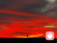 地图上那些曾经只是名字的地方，来了后就变成了脑海里可以随时调取的画面，又消灭了一个念想[胜利]原来沙漠的晚霞跟海边一样美[月亮]配图