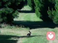 平淡日子里的光，大概就是和喜欢的人一起吃很多顿饭，走很多路，说很多废话吧。配图