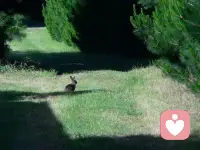 平淡日子里的光，大概就是和喜欢的人一起吃很多顿饭，走很多路，说很多废话吧。配图