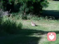 平淡日子里的光，大概就是和喜欢的人一起吃很多顿饭，走很多路，说很多废话吧。配图