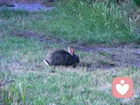 平淡日子里的光，大概就是和喜欢的人一起吃很多顿饭，走很多路，说很多废话吧。配图