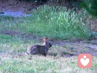 平淡日子里的光，大概就是和喜欢的人一起吃很多顿饭，走很多路，说很多废话吧。配图