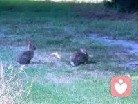 平淡日子里的光，大概就是和喜欢的人一起吃很多顿饭，走很多路，说很多废话吧。配图