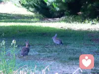 平淡日子里的光，大概就是和喜欢的人一起吃很多顿饭，走很多路，说很多废话吧。配图