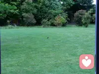 遇事不决可问春风，春风不语即随本心，而我本心坚定，又怎会遇事不决。春风亦有春风愁，不劳春风为我忧，春风若有怜花意，可否许我再少年？配图