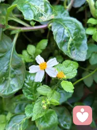 我们对杏的误解，从青春期就开始了。
不懂、不敢问、被误导
长大后带着错误认知走进亲密关系
时间短、状态差、关系不和谐。
才发现很多困扰，根源都是认知偏差。
杏不是羞耻，是常识；
晚懂总比不懂好，正视才能真正幸福。配图