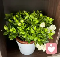 缝缝补补，零零碎碎的日常！😵配图