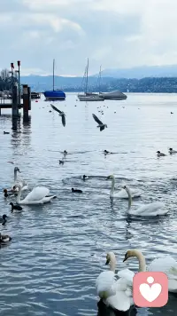 四月如期而至，目之所及，皆是春日绿野，愿四月每一天，快乐又顺心，日子温柔又闪光~早安[拥抱][拥抱]配图