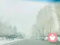 忽然回到了冬天❄️配图