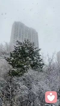 忽然回到了冬天❄️配图