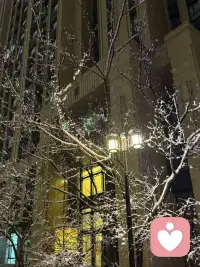 清明和暖 雪润春归