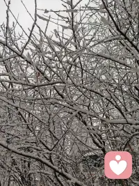 清明和暖 雪润春归