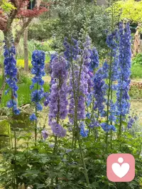 鹏北海，凤朝阳，又携书剑路茫茫。