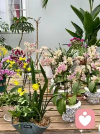 鹏北海，凤朝阳，又携书剑路茫茫。